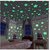 Satya Night Glowing Radium Magic Stars For Kids Room-50 pieces