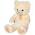 Ultra Angel Teddy Soft Toy 22 Inches - Butter