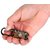 20 In 1 Multi functional Portable Mini EDC Outdoor Tools Stainless Steel Survival Key chain Tool