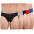 Crystal Italia Brief Colour (Pack of 5)
