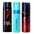 Kamasutra, Cinthol, And Wildstone (Set of 3)  150ml Each For Men Deodorant Combo