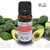 Avocado Oil Pure and Natural Essential Carrier Oil 10 ML