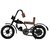 BuzyKart Beautiful Classic Wrought Iron Bike / Showpiece / Iron Decor