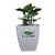 Minerva Naturals Self Watering Table top Square Pot (Chatura 5.5 inch Pot) White - (Pack of 2 POTS)