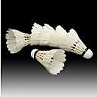 Albatross online shuttlecock price