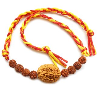 Yuvi Shoppe Rakhi for brother Rudraksha Rakhi rakhee 2 Faced and 5 faced original Rudraksha bracelet religious and Rudra Yuvi Shoppe Rakhi for brother Rudraksha Rakhi rakhee 2 Faced and 5 faced original Rudraksha bracelet religious and Rudra