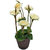 Artificial Potted Plants for Home Decor - White Flowers (ART01327)
