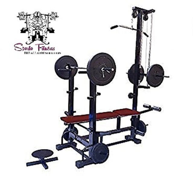 2x4 workout online bench