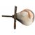 The Home Ceramic Iron Knob Squre Round White Finish