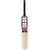 SS Slogger Kashmir Willow Cricket Bat Full Size