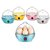 Premium Quality Electric Egg Boiler Poacher Stylish 7 Egg Boiled Cooker, ( Assorted Colors )