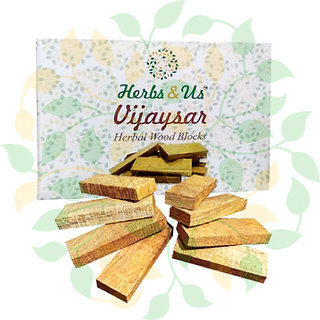 Buy Herbs and Us Vijaysar Herbal Wood Bark for Diabetes Control (16pcs ...