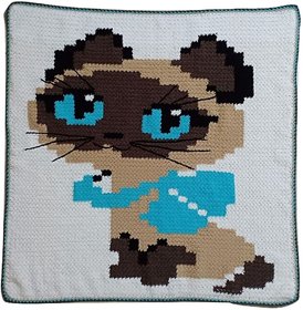 Kitty Baby Blanket