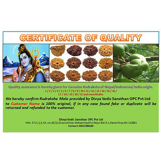pics Fake Rudraksha Fruit 108 rudraksha jaap kantha mala 5 6 mm