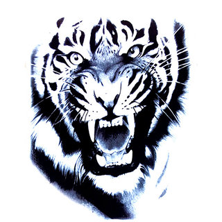 Ordershock Real Tiger Design Temporary Tattoo Waterproof Temporary Body  Tattoo  Price in India Buy Ordershock Real Tiger Design Temporary Tattoo  Waterproof Temporary Body Tattoo Online In India Reviews Ratings   Features 