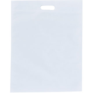 non woven carry bags sizes
