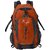 F Gear Capiche 40 Liter Hiking Bag (Saffron, Grey)