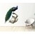 Walltola Nature PVC Multicolor Peacock  Wall Sticker Pack of 1 (84 x 88 cm)
