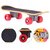 Birds Toy Skates Imported -Good movingg toy for Parrot  Birds to Play with