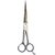Gulzar  iron scissor used for salon Scissors  (Set of 1, Silver)