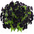 Futaba Black Velvet Petunia Seeds - 100 Pcs
