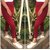 Code Yellow Women's Maroon Check Stretchable Casual Pants Gym Yoga Wear