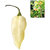 Futaba BHUT JOLOKIA Chilli Seeds - White - 20 Pcs