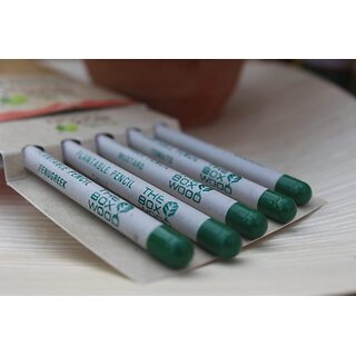 Plantable Pencil set of 2 (Pack of 5)