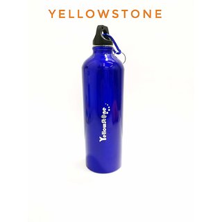 Jaycoknit Yellowstone BlueBuzz Metal Handy Water Bottle,Pack of 1,Blue,500 ml