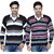 Christy's Collection Striped V-Neck Casual BrownFalsa Men's Sweater