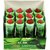 sStarzone ADS(Green Tea Lipstick set of 12)
