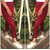 Women's Maroon Check Stretchable Casual Pants Gym Yoga Wear