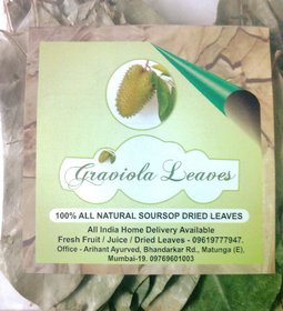 Graviola Tea Leaves soursop hanuman laxman phal dried Natural leaves forest sourced cancer immunity diabetes (80-100)