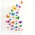 SKY HOME DECOR Beautiful Multicolour 3D butterfly DIY creativity wall decal Wall Sticker for Home Dcor