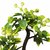ZEVORA  Green Fruit Tree Love 8 Inch Artificial Tree for Indoor/Outdoor Home, Office, Garden Lawn Decoration with Pot