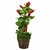 ZEVORA Red Chili Plant 8 Inch Artificial Plant for Indoor/Outdoor Home, Office, Garden Lawn Decoration with Pot