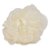 Gorgio Professional Pearl White loofah