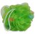 Gorgio Professional Wheat Grass Green loofah infused with foaming cube
