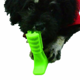 Buy Dog Tooth Brush Online Get 69 Off