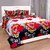 Ny Stores Elegant 3D Printed Double Bedsheet Microfiber 2 Double Bedsheet with 4 Pillow Covers - Floral, Beautiful Multicolour (Size 90x90)