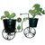 Cycle Stand Handcrafted Home Decor Vases/Table Top Cycle Rickshaw Showpiece Wrought Iron Decor 34 cm x 22 cm Black Color