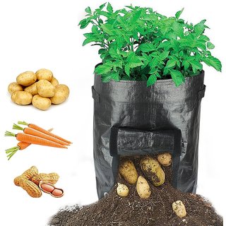 Potato Grow Bag - of 2 pcs pack