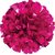 Kaku Fancy Dresses  1 Pair Cheerleading Pompom Use For Kids Dance Party/School Annual Function/Special Event