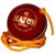 Port Red Practice Hanging Cricket Ball