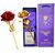 GoodsBazaar 24K Golden Rose  Red Rose Combo Gift Box and Carry Bag - Best Valentine's Day Gift Birthday Gifts