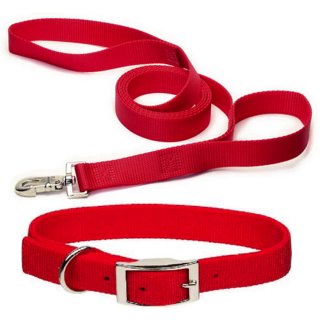 Red Dog Collar  Leash (Large) Pack of 2