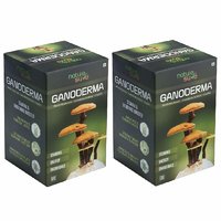 Nature Sure Ganoderma Capsules for Men  Women  2 Packs (2 x 60 Capsules)