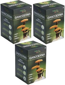 Nature Sure Ganoderma Capsules for Men  Women  3 Packs (3 x 60 Capsules)
