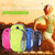 Tech Gear Arm Band Bag Indoor Outdoor Sports Running Jogging Arm Band Bag Pack Pouch Mobile Phone Case Cover, Green