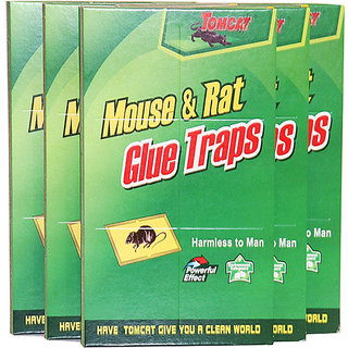 Evershine Mouse Glue Pad/ Rat Catching Pad (Set of 3)